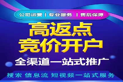 百度推广实战攻略：案例与策略